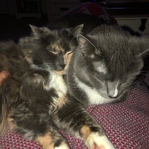 Meet your Posher, Brittney